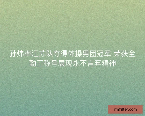 孙炜率江苏队夺得体操男团冠军 荣获全勤王称号展现永不言弃精神